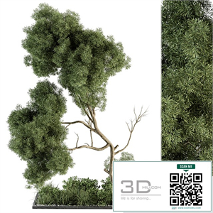Garden Set Plants and Tree - Outdoor Plants Set 355