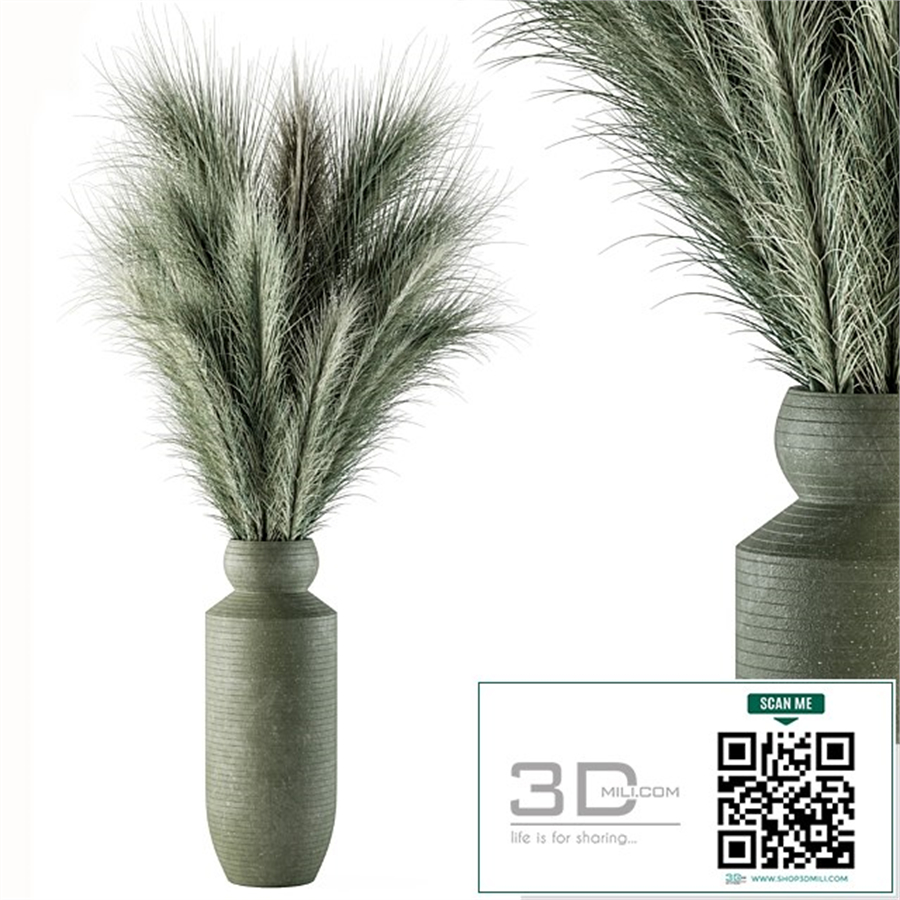 Dry plants 85 - Dried Green Branch