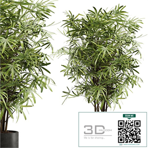 indoor plant Set 16