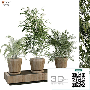 green plant box 269