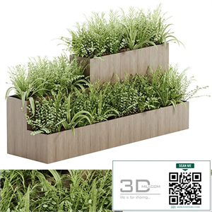 indoor plant Set 21