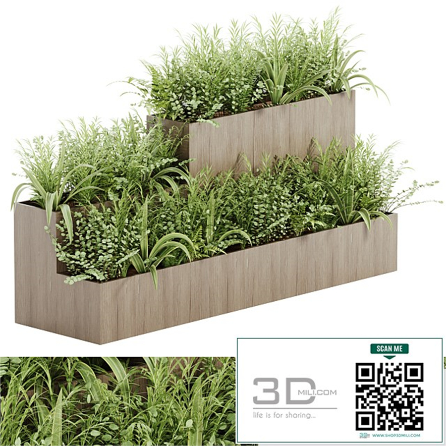 indoor plant Set 21