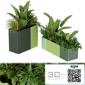 Collection plant vol 318 - banana - indoor - leaf