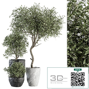 Outdoor Plant Set 363 - Plant Set in Stone Pot