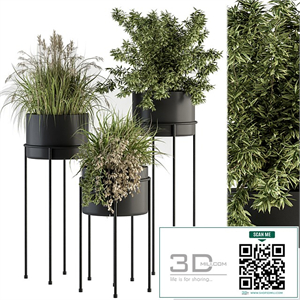 indoor Plant Set 370 - Tree and Plant Set Stand pot