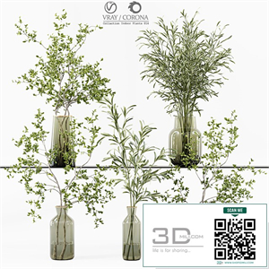 Collection Indoor Plants 016