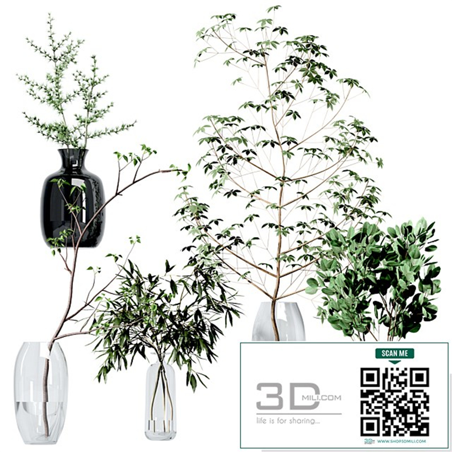 Set of branches in vases