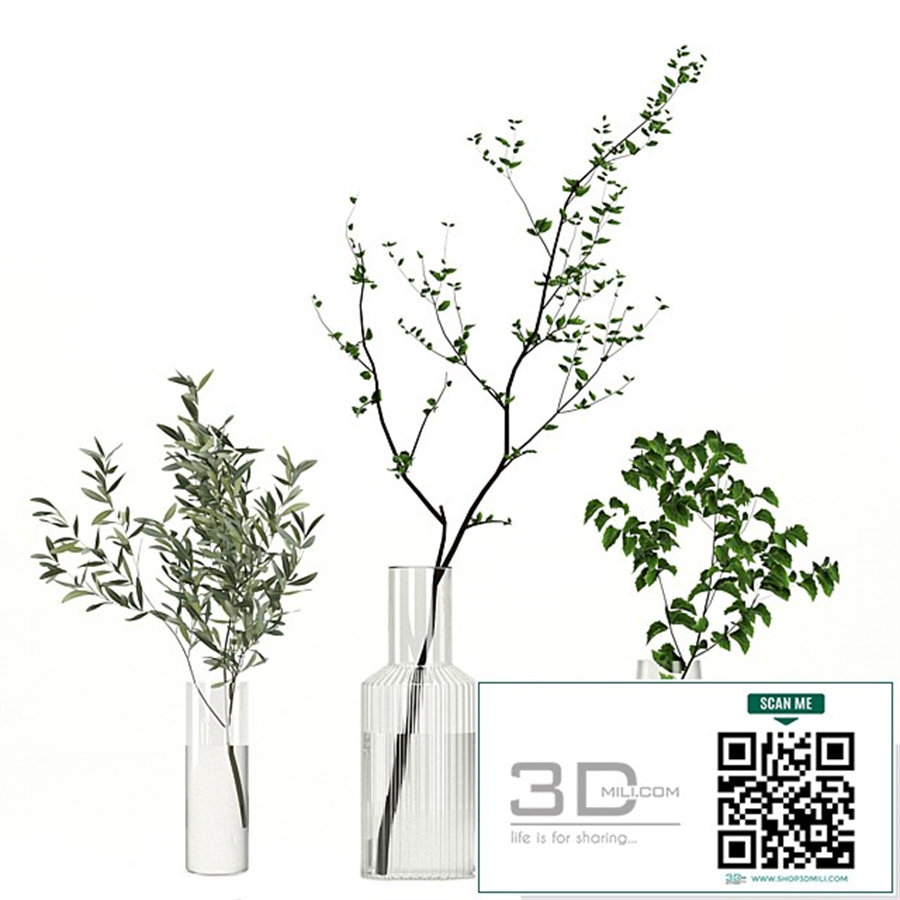 Bouquet 35