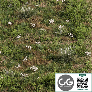 Spring Grass with White Flower - Grass Set 08