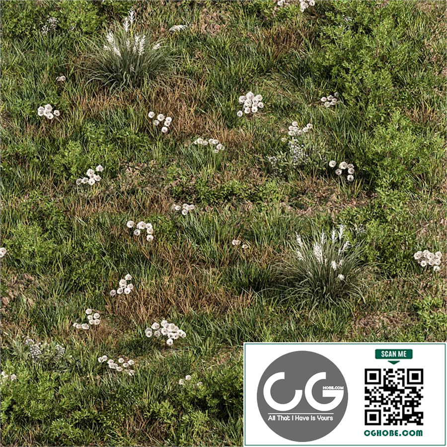 Spring Grass with White Flower - Grass Set 08