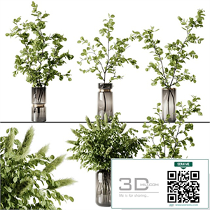 Plant 3