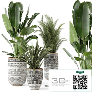 Indoor Plants in rusty Concrete Pot - Set 628