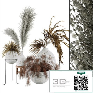 Plant Collection Set 01