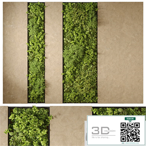 Vertical Garden 02