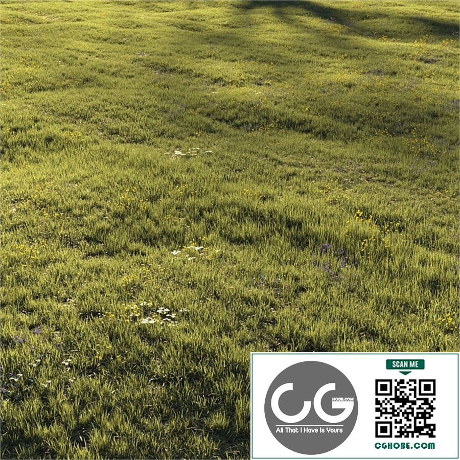 Grass and Flower