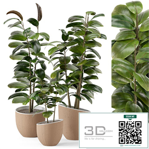 Indoor Plants in rusty Concrete Pot - Set 692