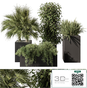 Outdoor Plant Set 402 - Plant Set in Plant Box