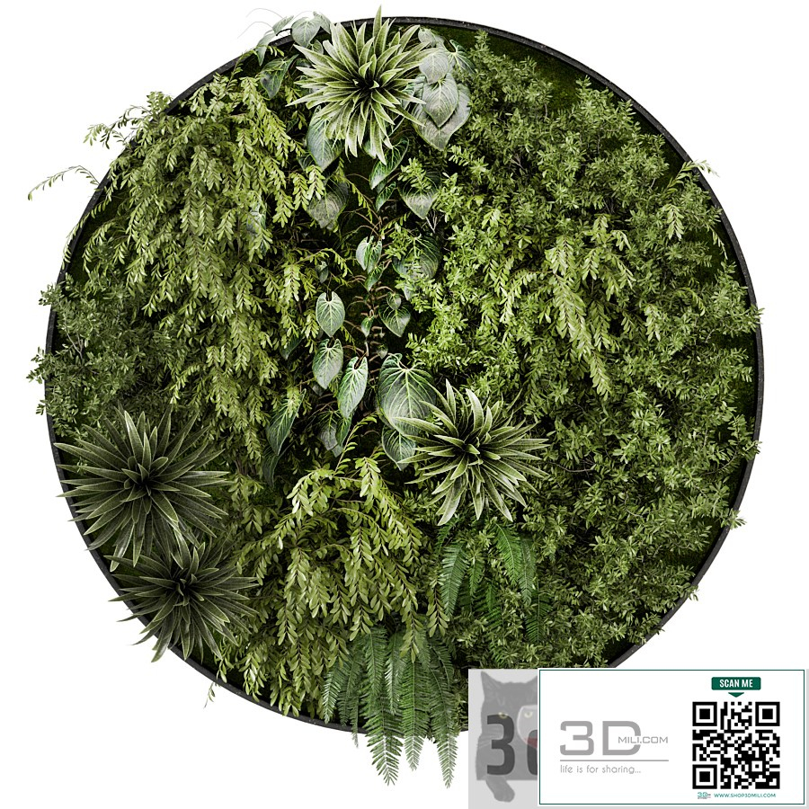 Indoor Wall Vertical Garden Set - Set 714