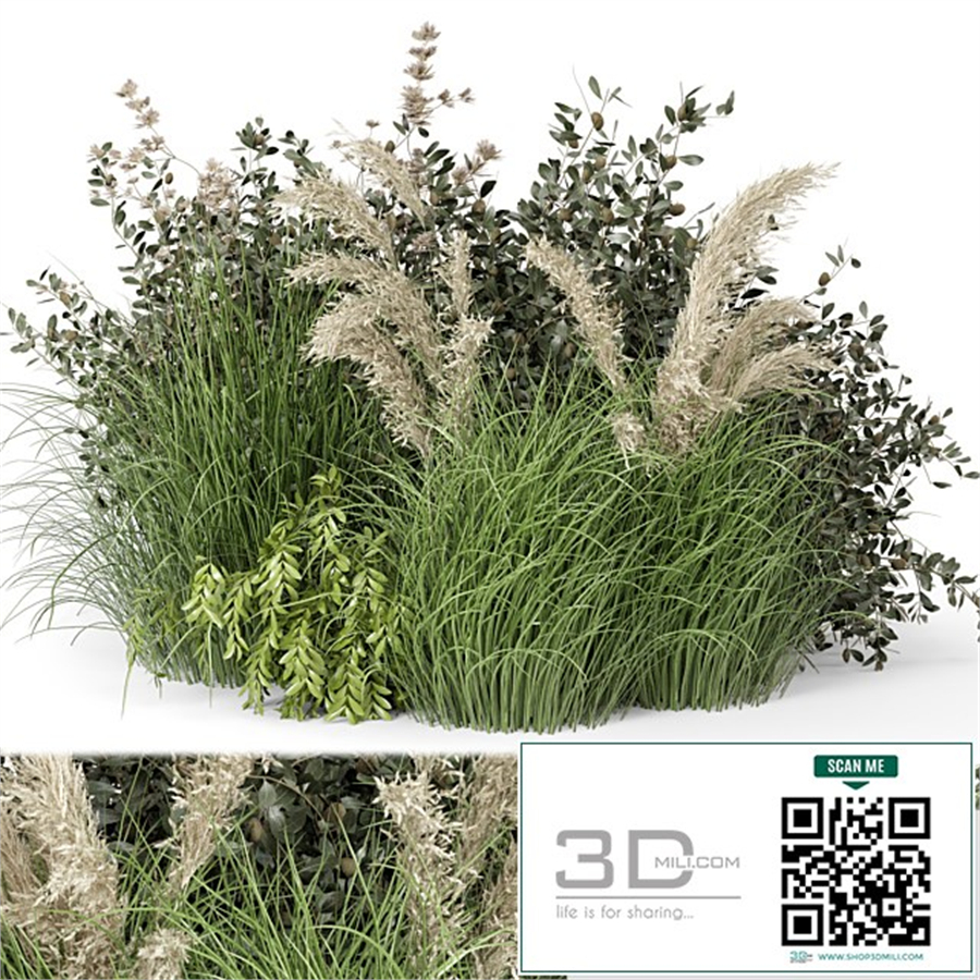 Outdoor Plants Bush-Bush Set 724