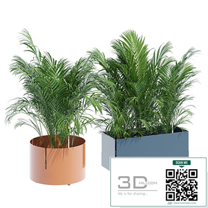 Robertirattan