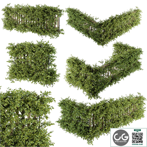 Outdoor Wood Fence with Ivy Plants - Fence 07