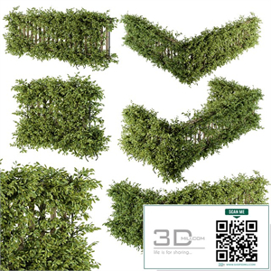 Outdoor Wood Fence with Ivy Plants - Fence 07