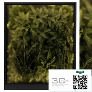 Vertical Garden Glass Frame - Wall Decor 58