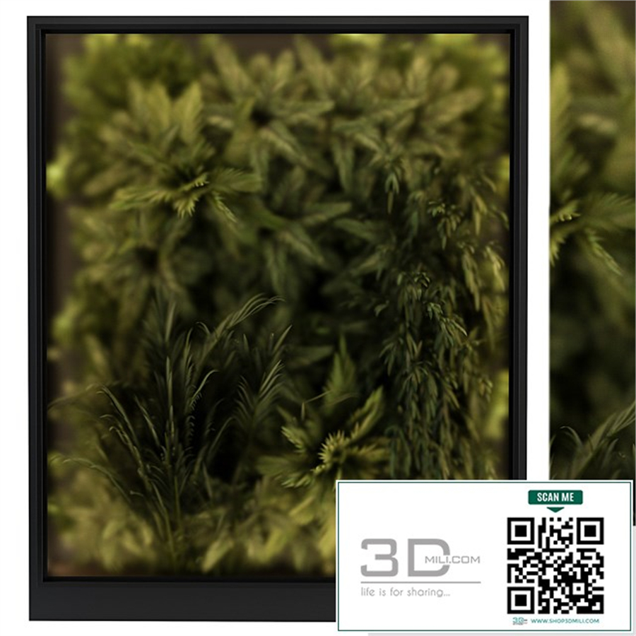 Vertical Garden Glass Frame - Wall Decor 58