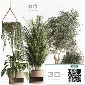 Indoor Plant Set 57