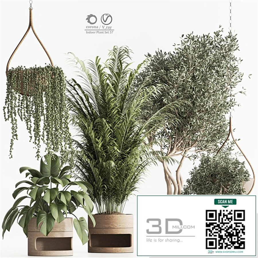 Indoor Plant Set 57