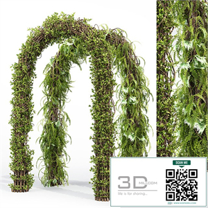Arch hedge