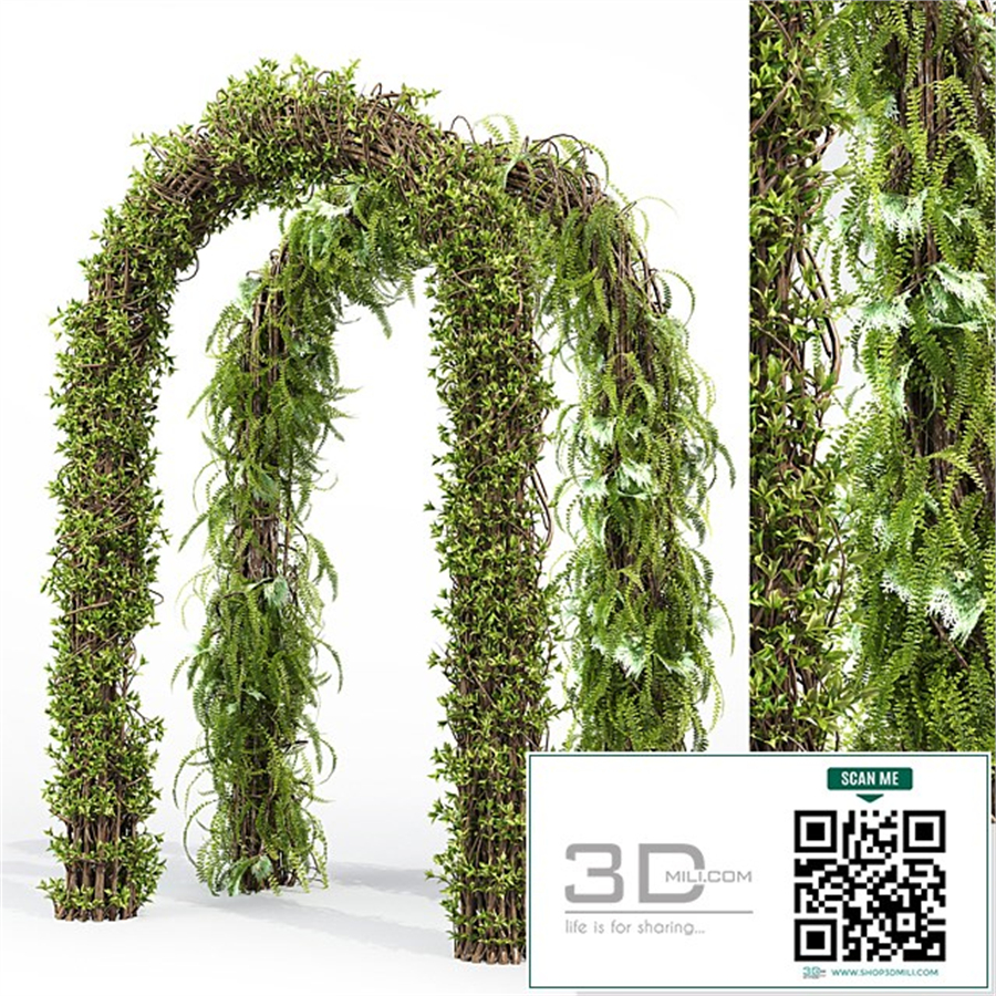 Arch hedge