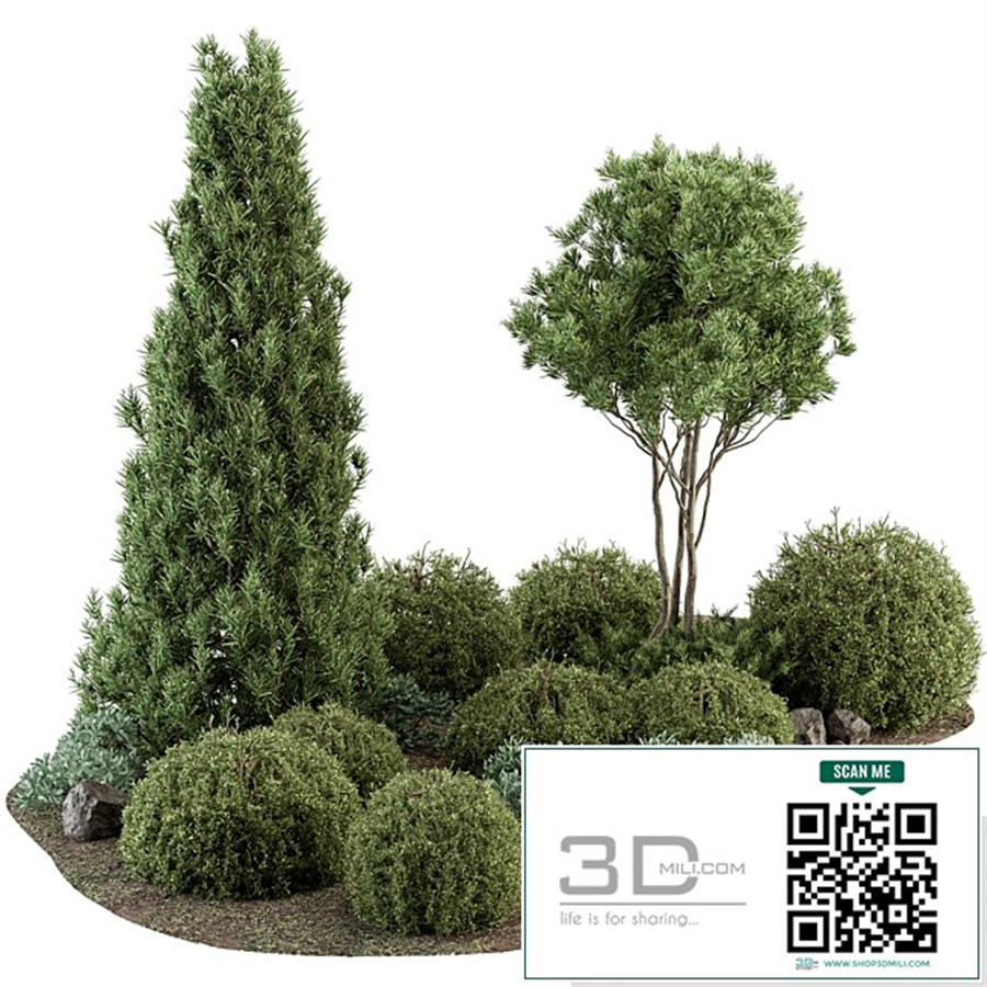 Garden Set Topiary and pine Plants - Outdoor Plants Set 410