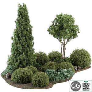 Garden Set Topiary and pine Plants - Outdoor Plants Set 410