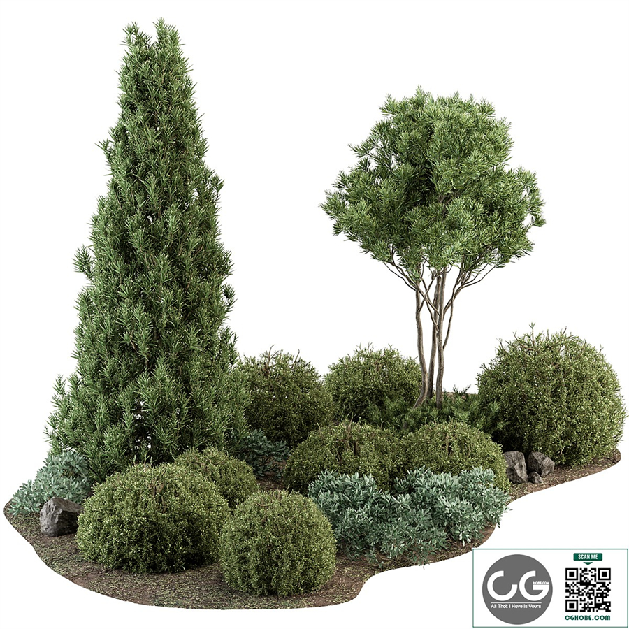 Garden Set Topiary and pine Plants - Outdoor Plants Set 410