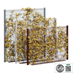 ivy wall ten