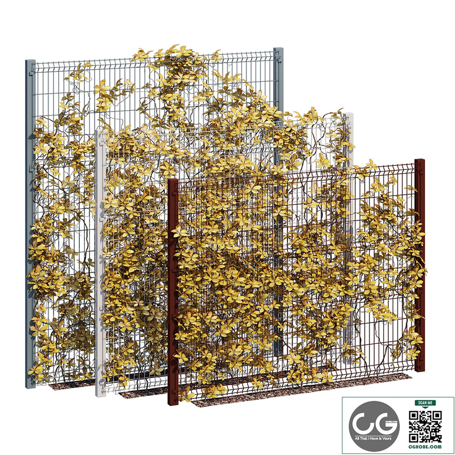 ivy wall ten