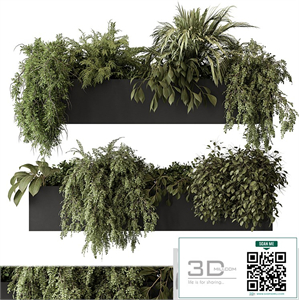 indoor Plant Set 297 - Hanging Plants