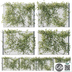Ivy on Fence 02