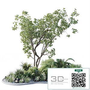 garden pot tree bush - Collection outdoor indoor 113