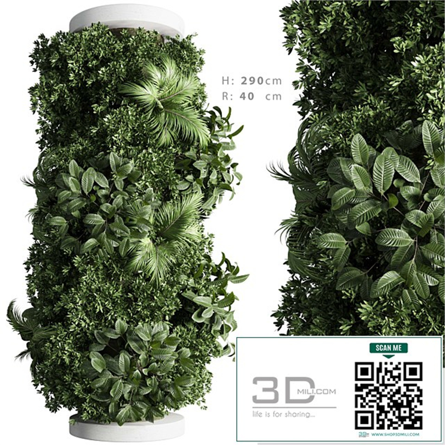 Column plant 02
