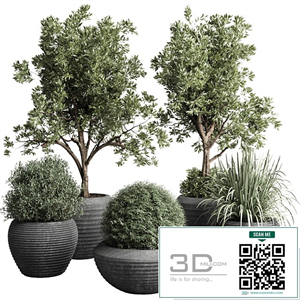 Collection indoor outdoor plant 120 plant tree grass vase dirty concrete