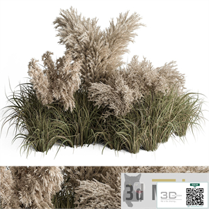 Mixed Pampas Plant Bush Set 95