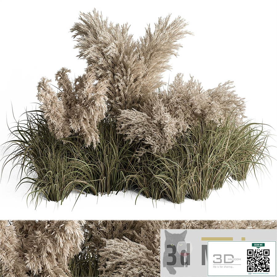 Mixed Pampas Plant Bush Set 95