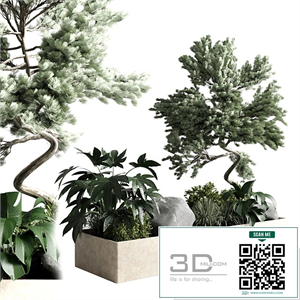 bonsai tree with plants set in the garden 290 corona