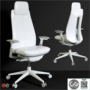 Haworth office chair