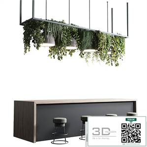 Coffee shop reception, Restaurant counter by hanging plant - 04