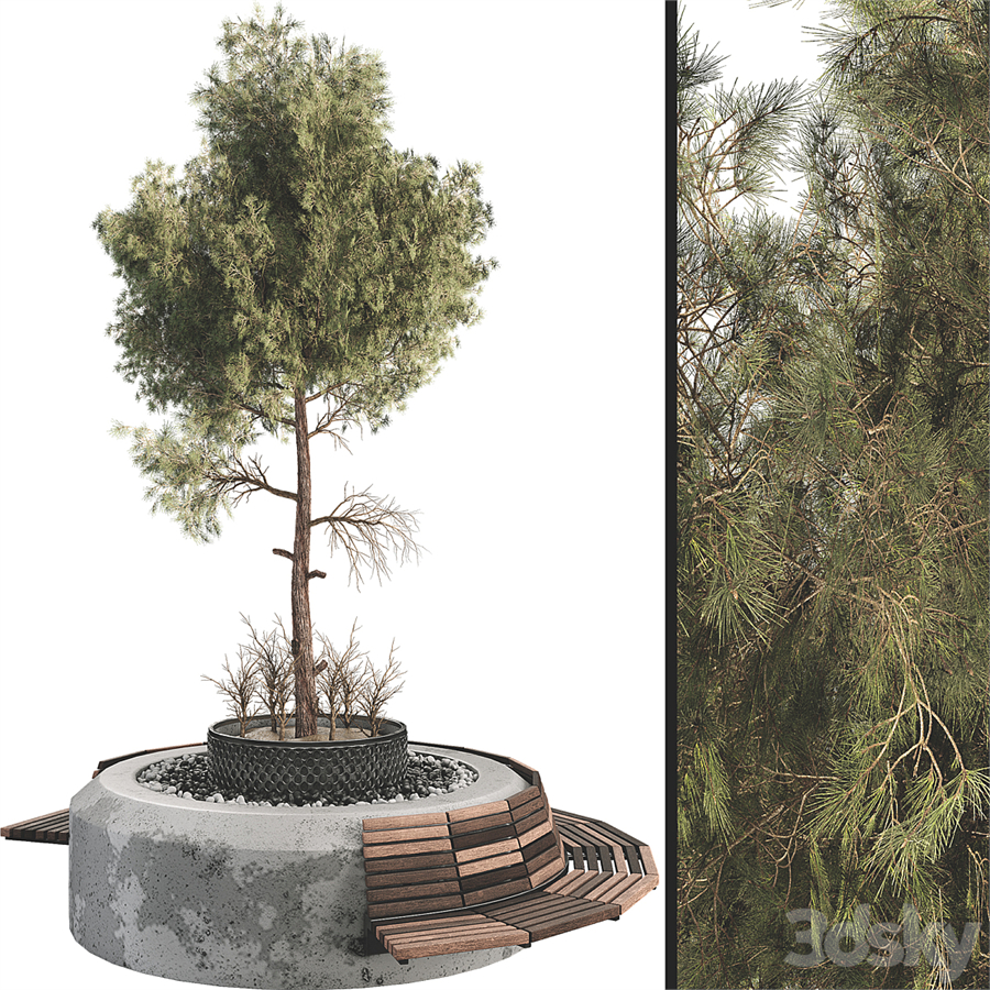 Outdoor Plant Set 06
