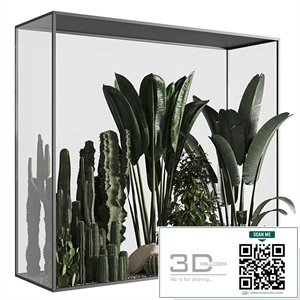 Plants behind glass 02