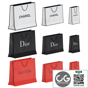 Set of Brand Shopping Bags 2